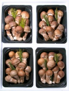 스크린샷 2025 10 07 161315