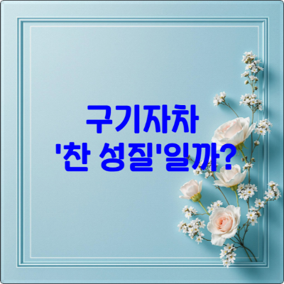 Adobe Express file 2 4