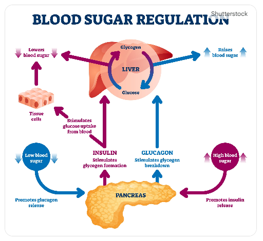 스크린샷 2025 11 07 160819