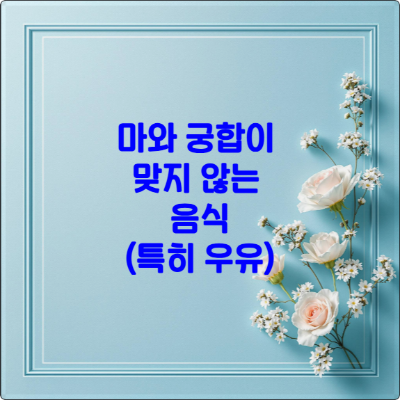 Adobe Express file 4 2