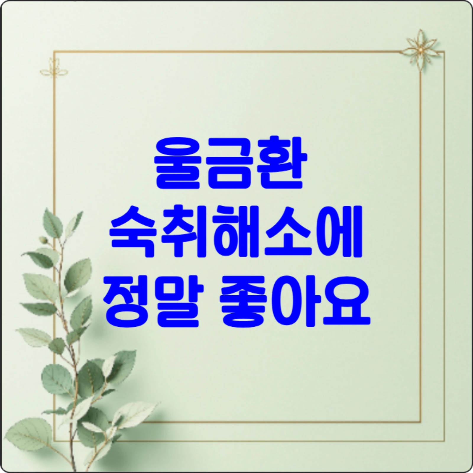 대표