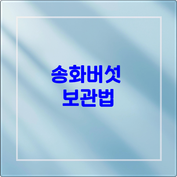 composite image 1764670345710