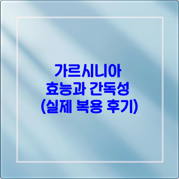 가르니시아 대표