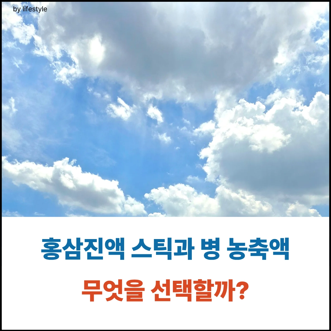 스틱과 진액 대표글