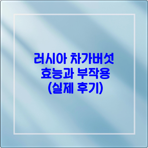 차가대표이미지