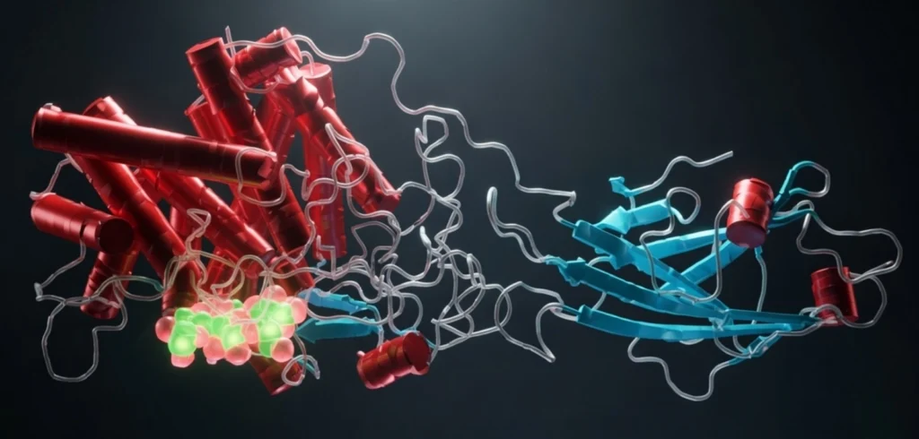 탄수화물 분해 역가수치 높은 효소: 꼭 분해력을 확인!