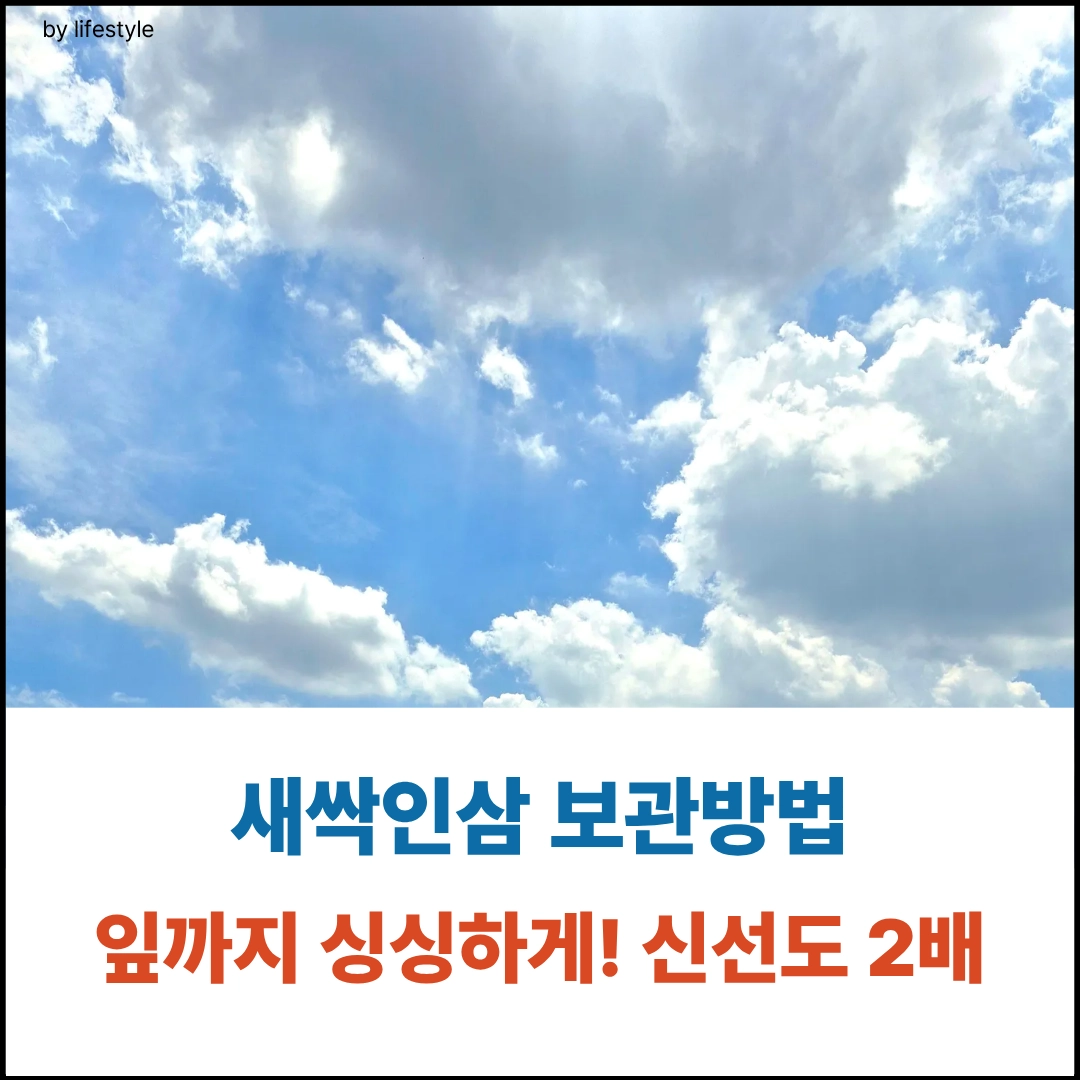 건강 1 2