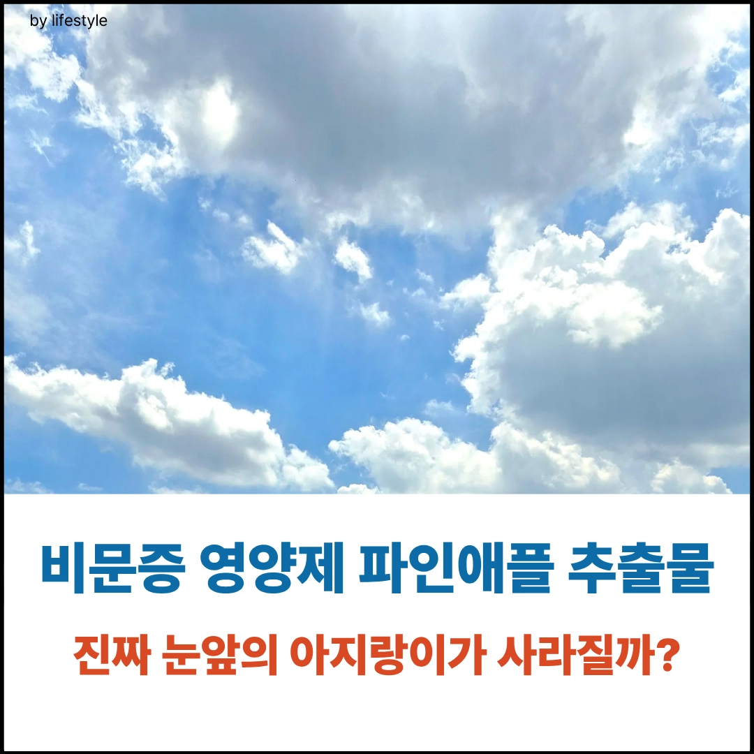 비문 대표