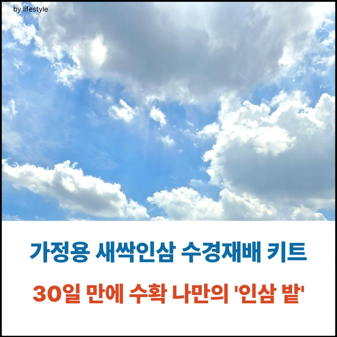 키트표지