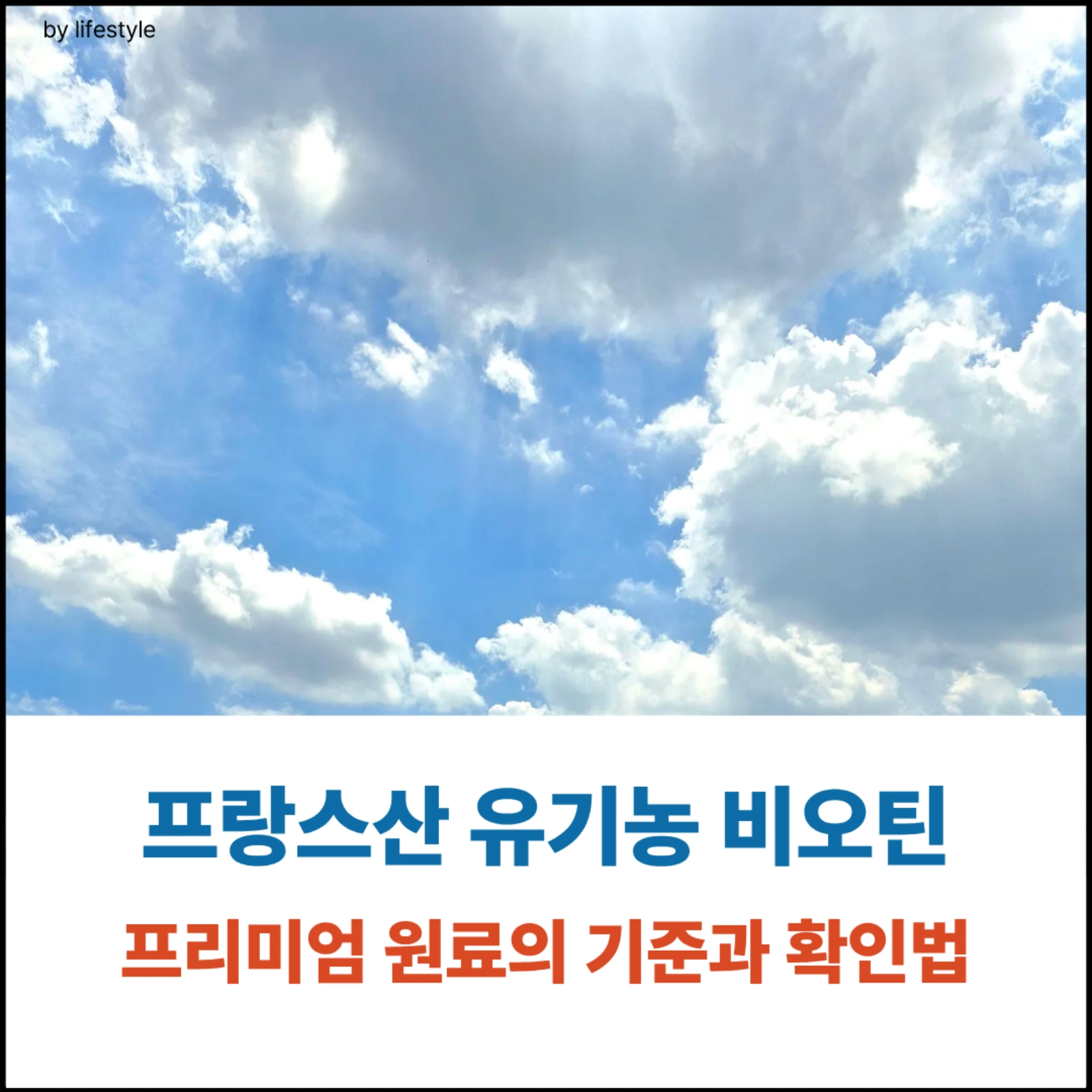 프랑스 대표