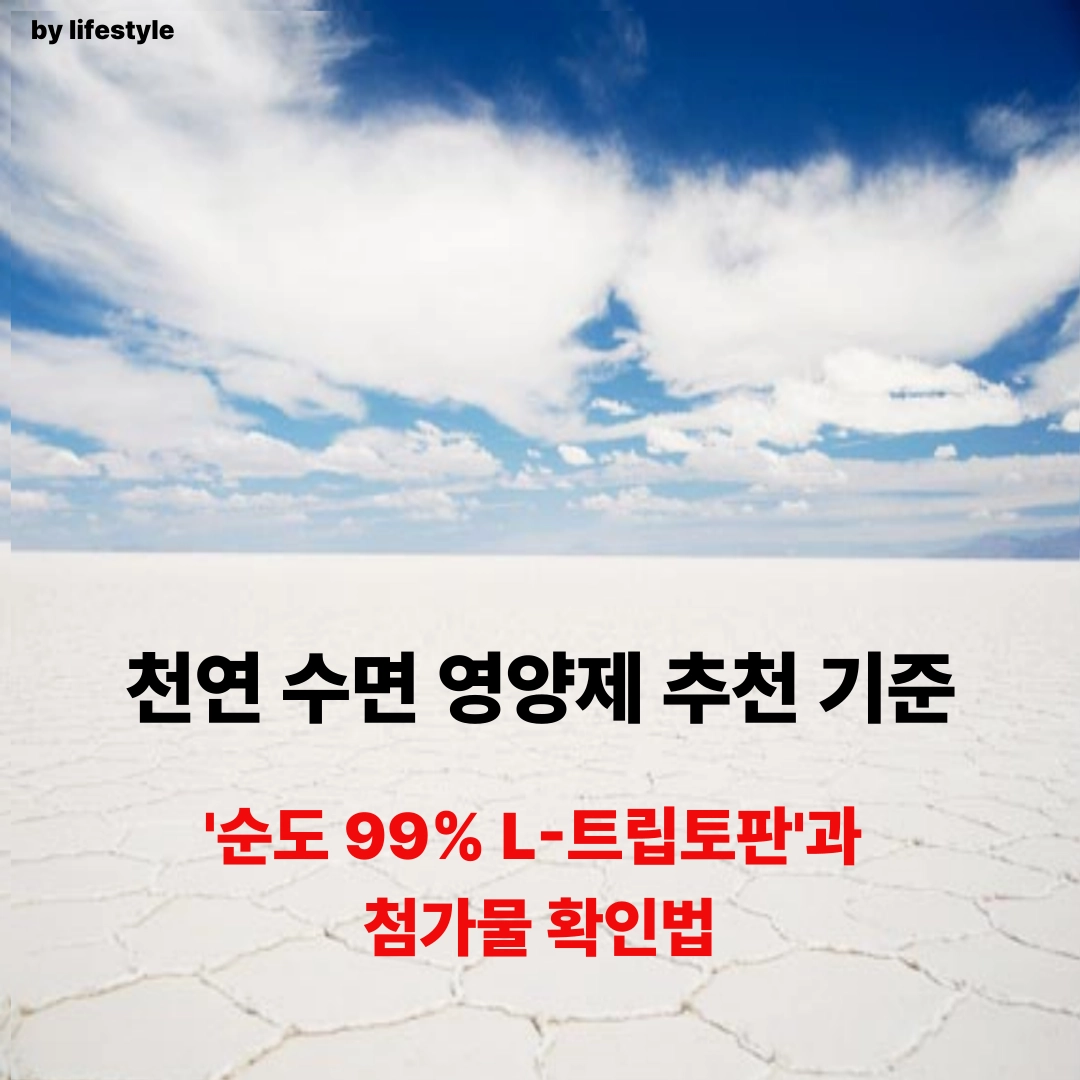블로그 썸네일 001 1 3