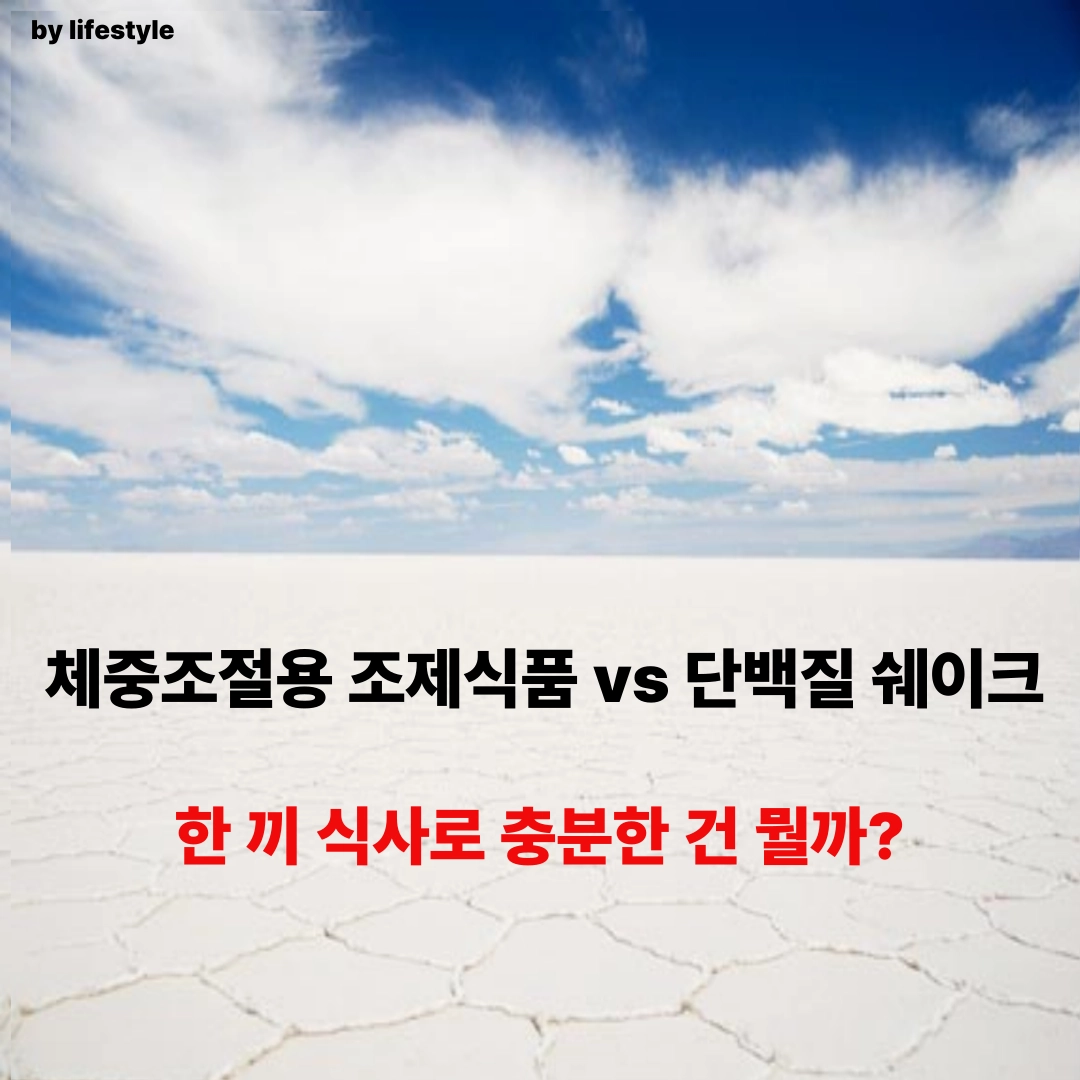 블로그 썸네일 001 1