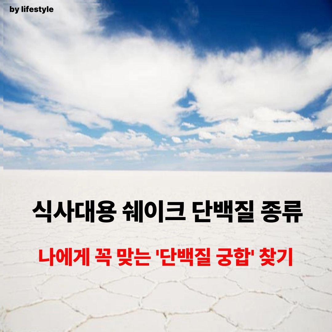 블로그 썸네일 001 2 1