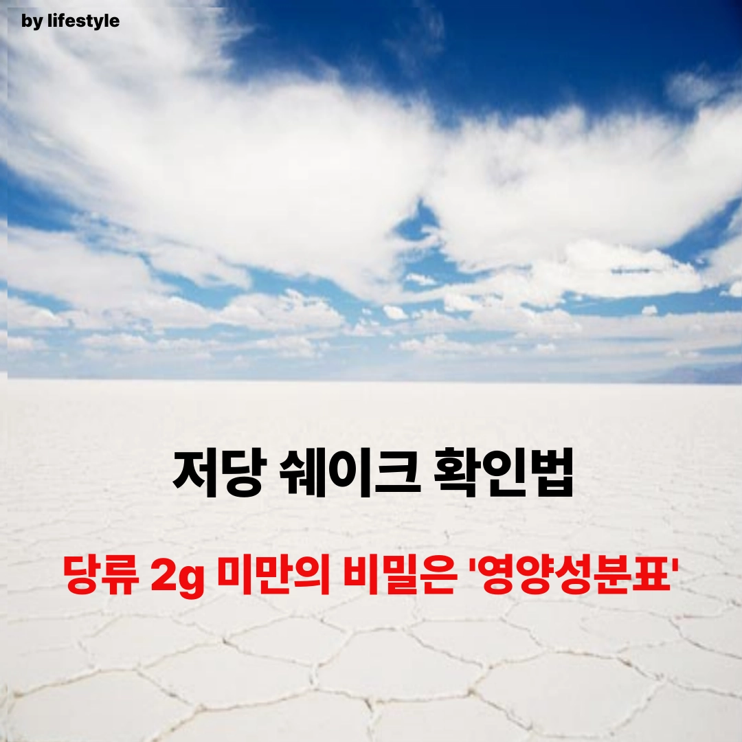 블로그 썸네일 001 2