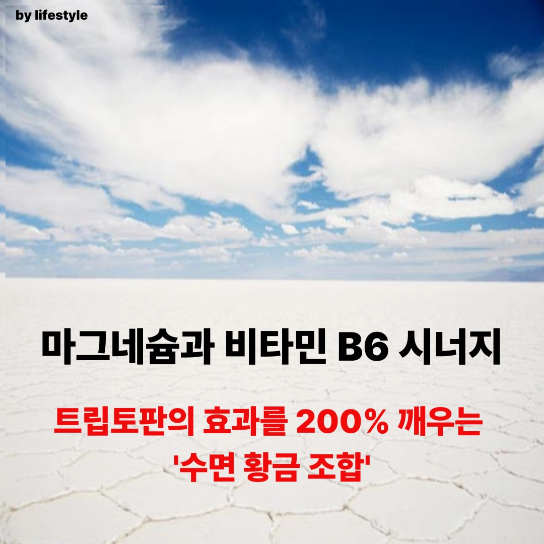 블로그 썸네일 001 4