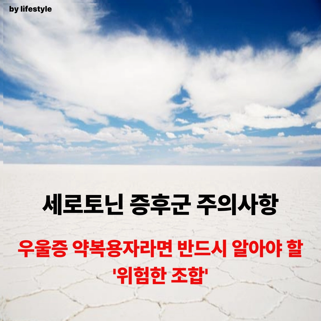 블로그 썸네일 001 5