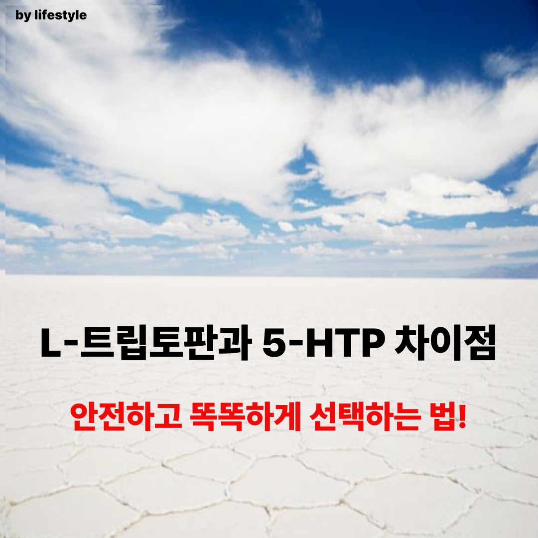 블로그 썸네일 001