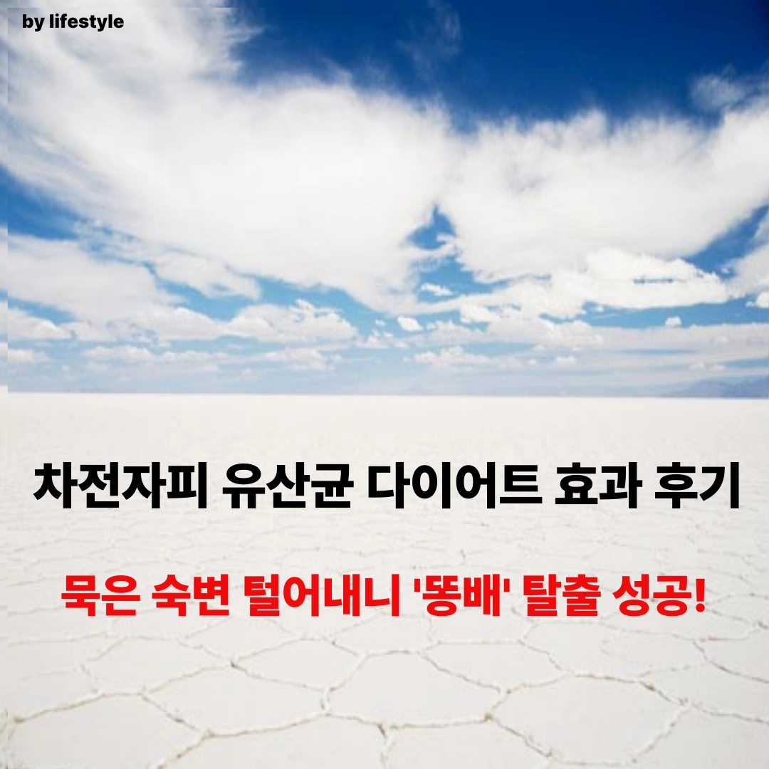 블로그 썸네일 001