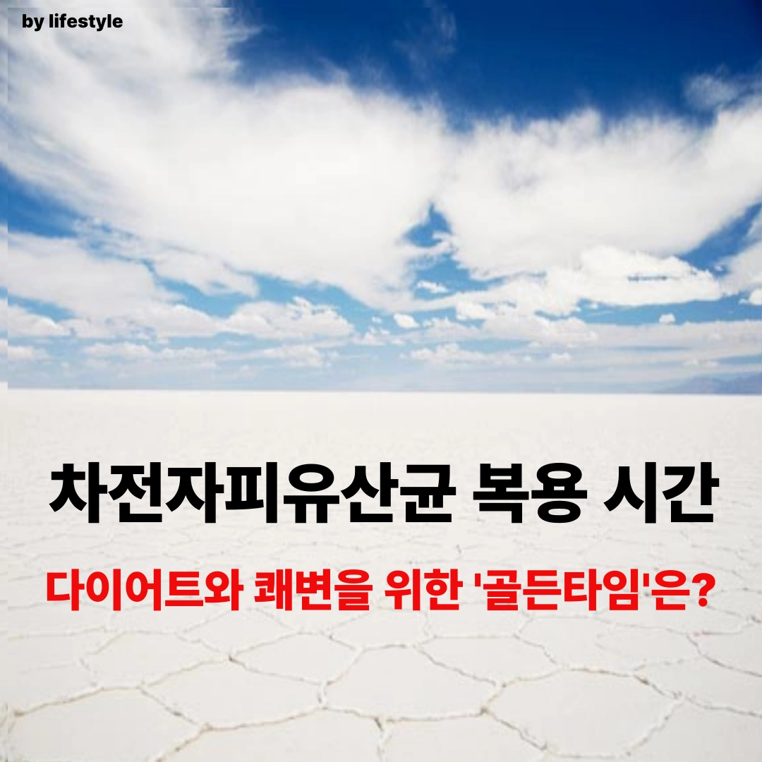 차전차피유산균 대표