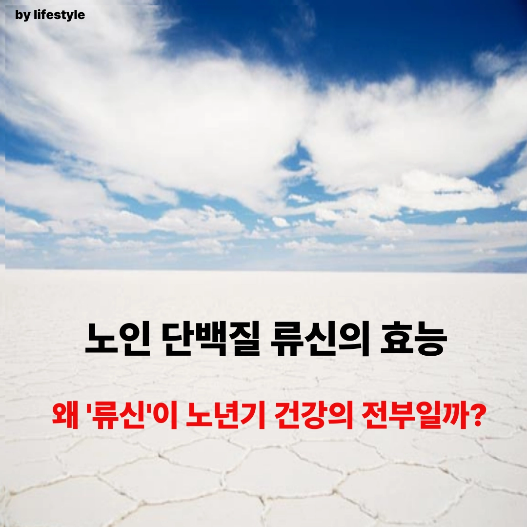 블로그 썸네일 001 1 2