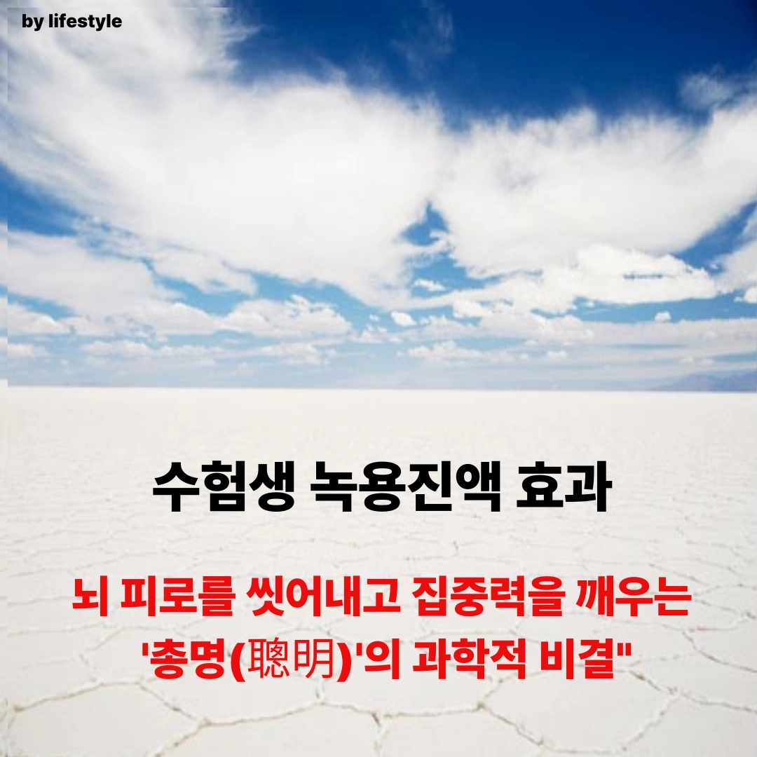 블로그 썸네일 001 1 3