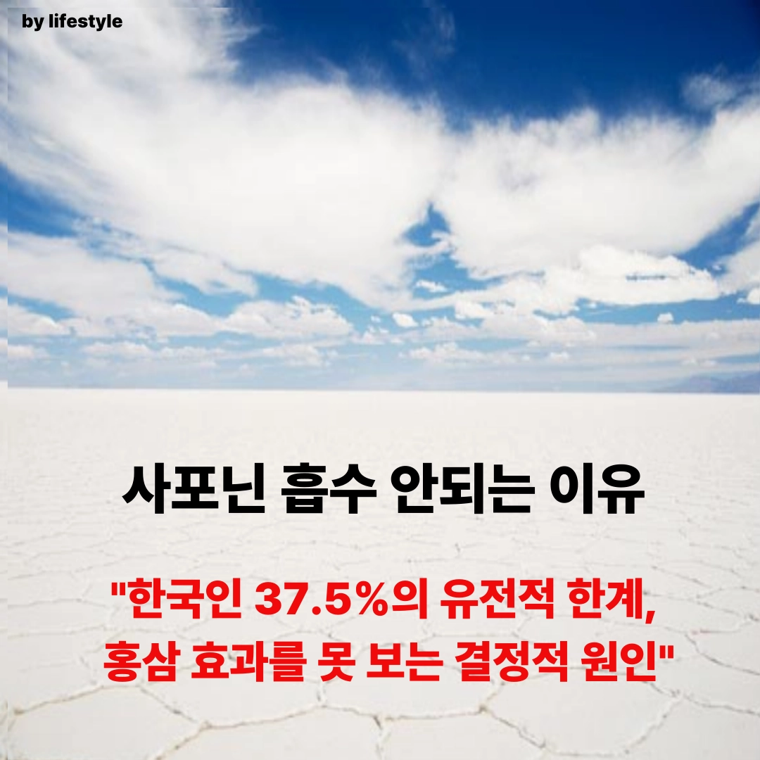 블로그 썸네일 001 1 4