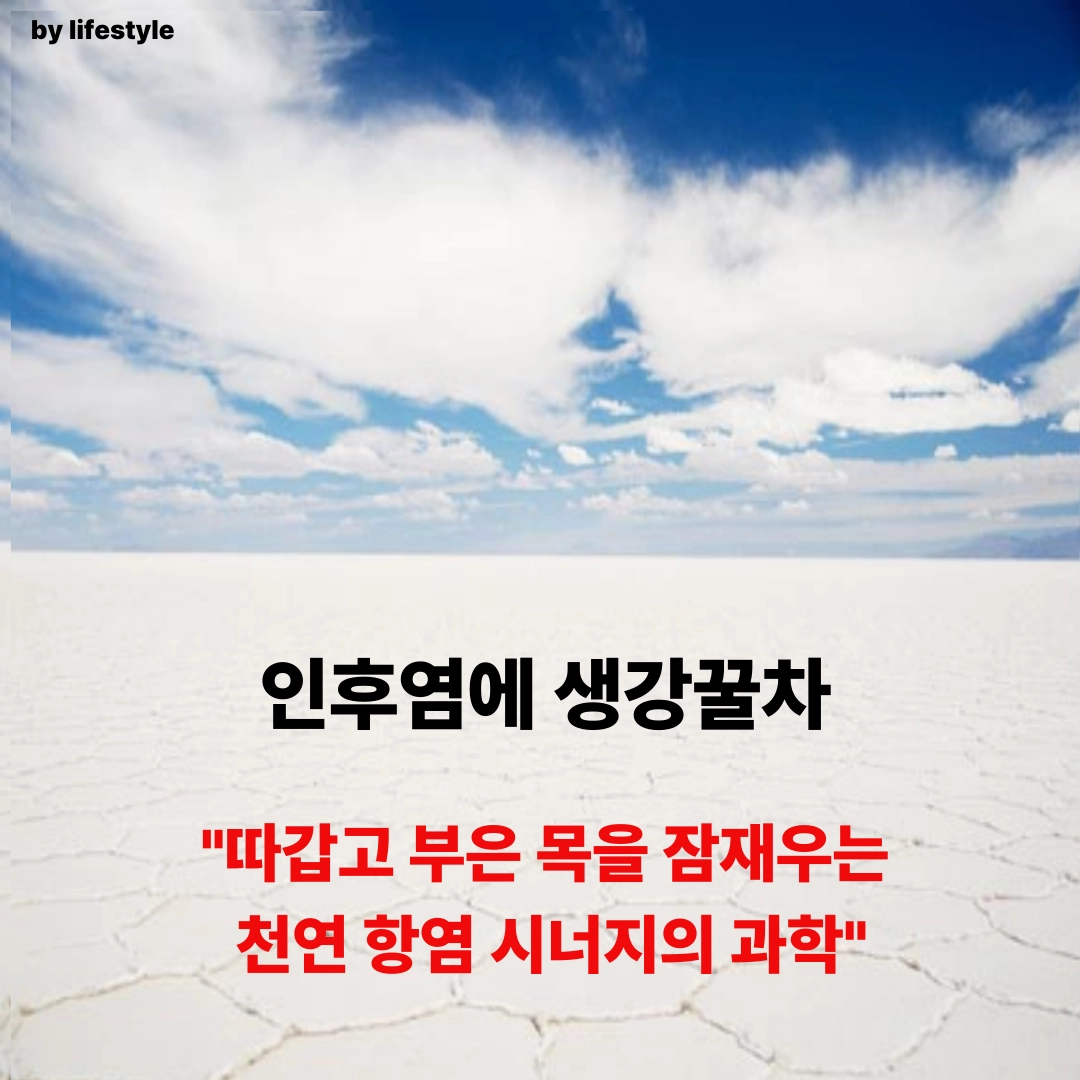 블로그 썸네일 001 1