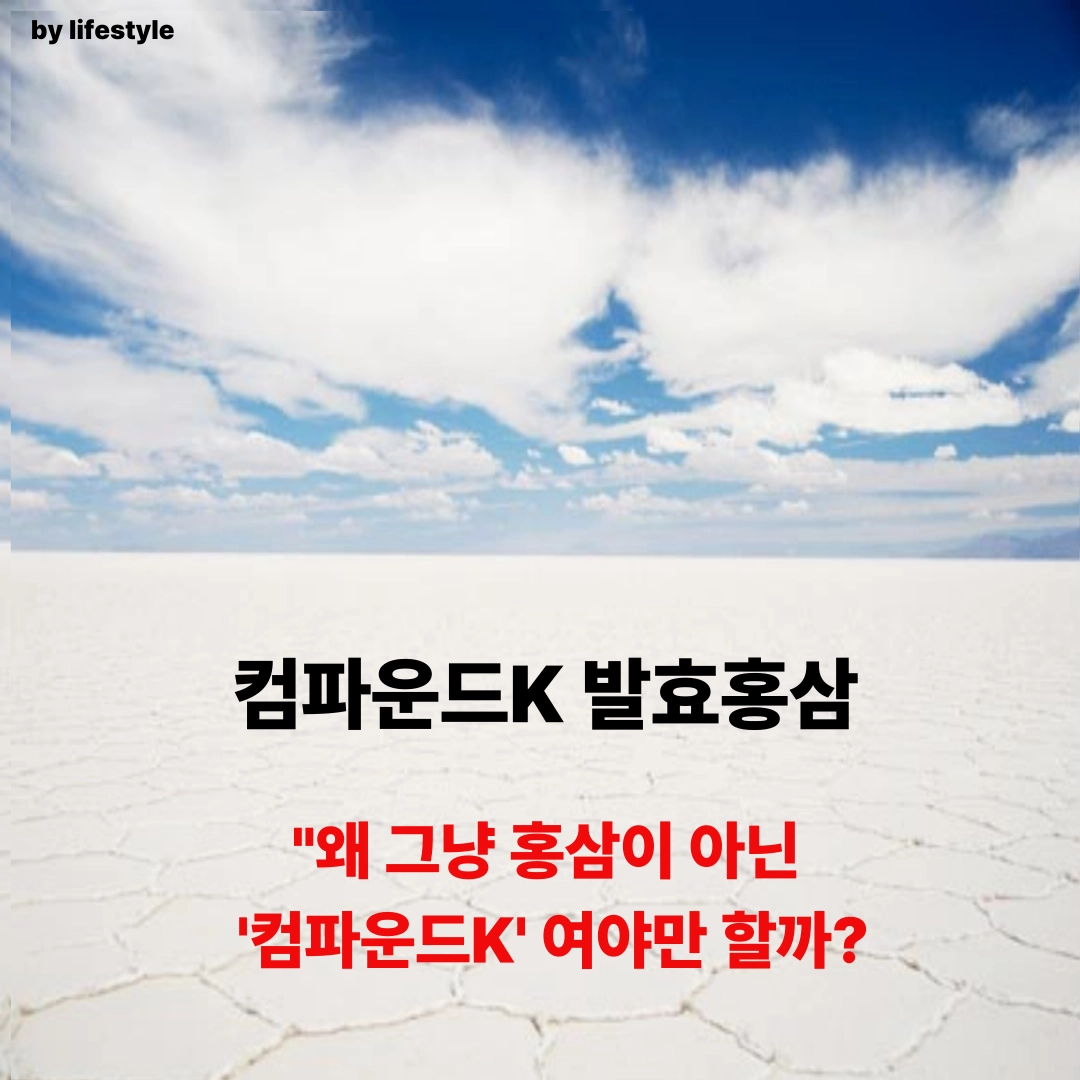 블로그 썸네일 001 11