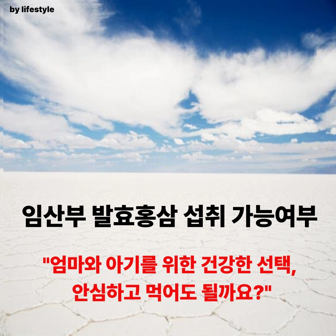 블로그 썸네일 001 15