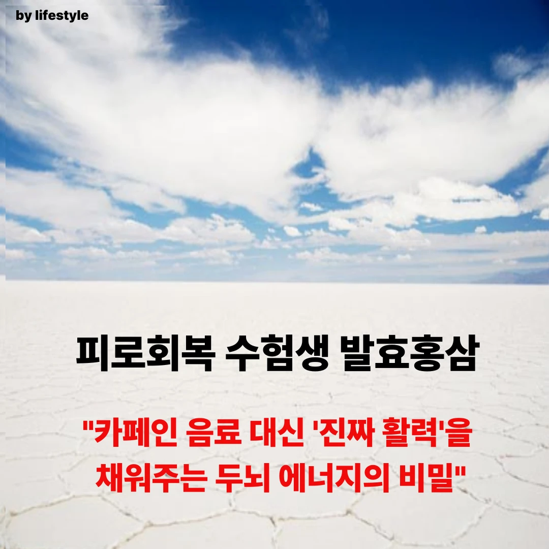 블로그 썸네일 001 16