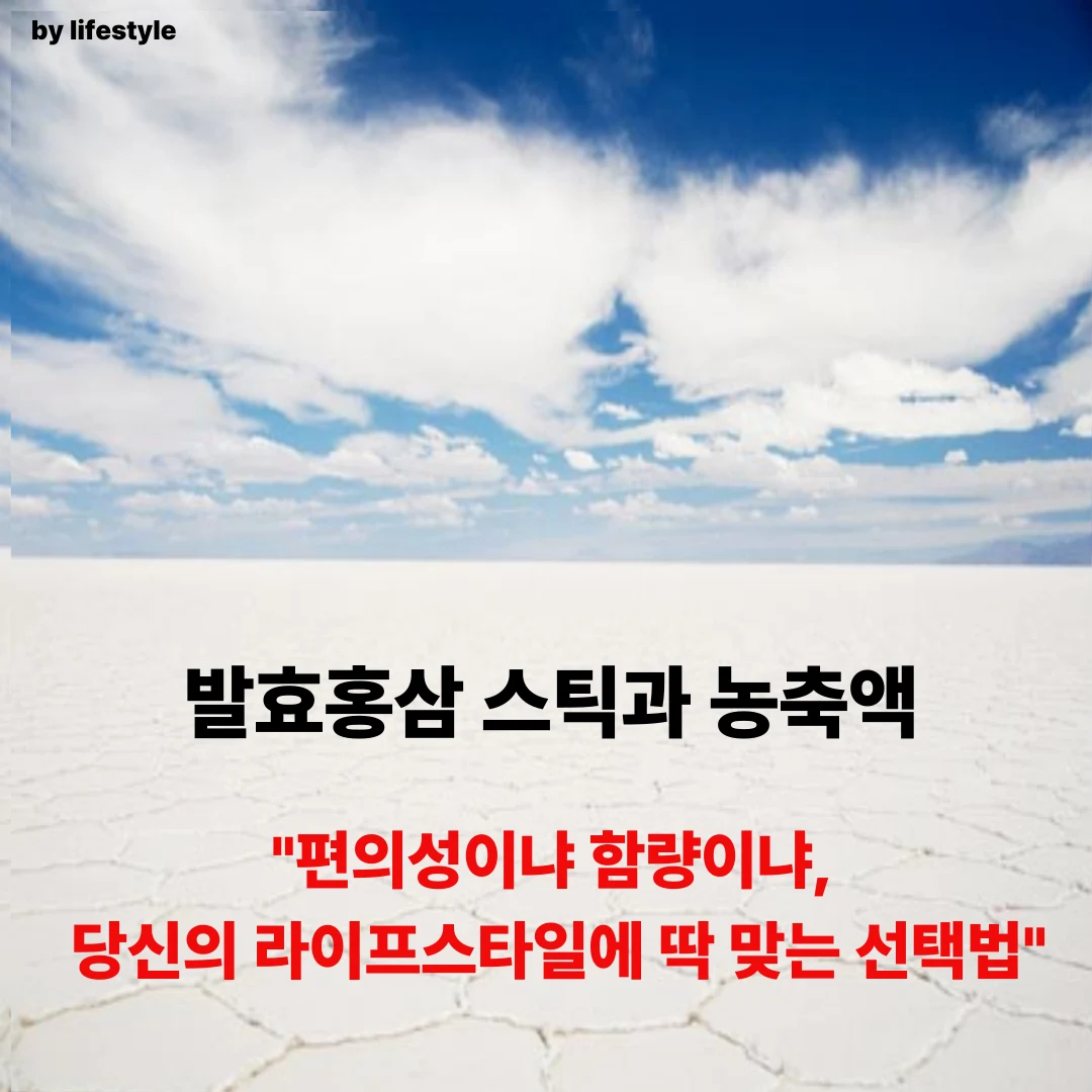 블로그 썸네일 001 17