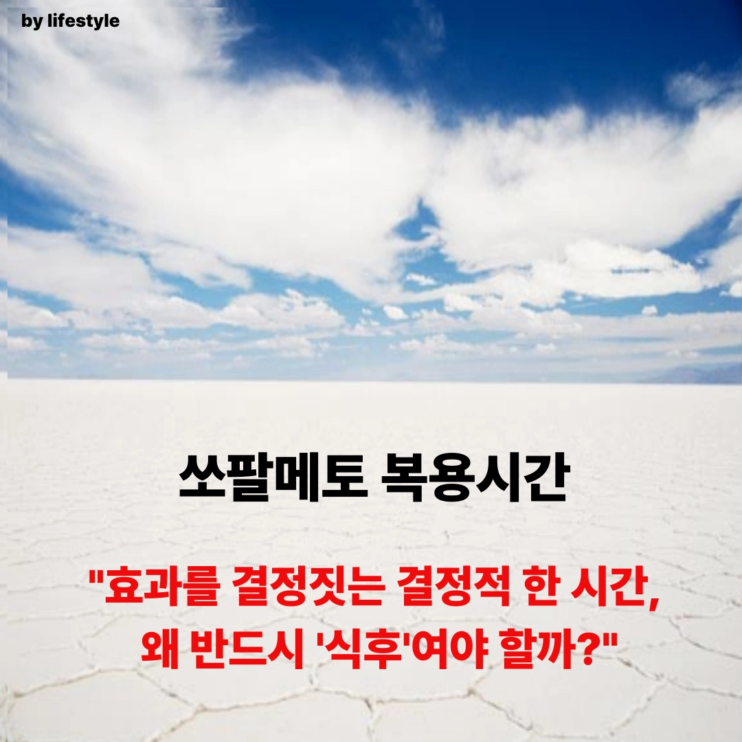 블로그 썸네일 001 3 1