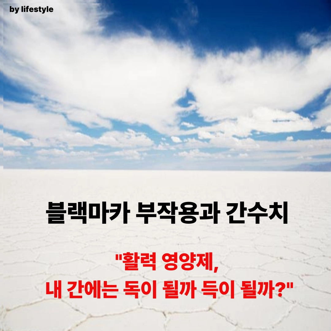 블로그 썸네일 001 3