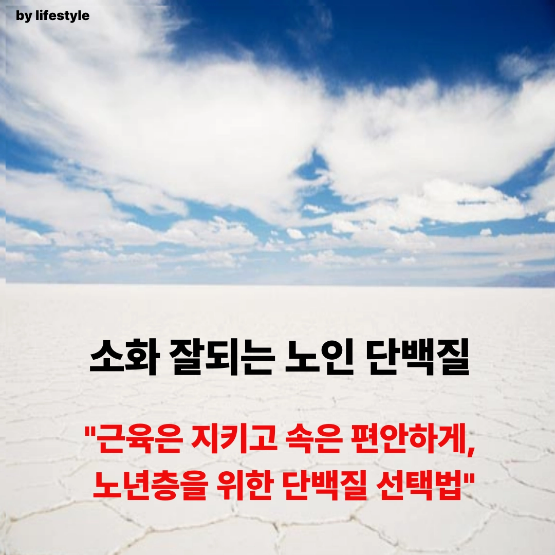 블로그 썸네일 001 4 1