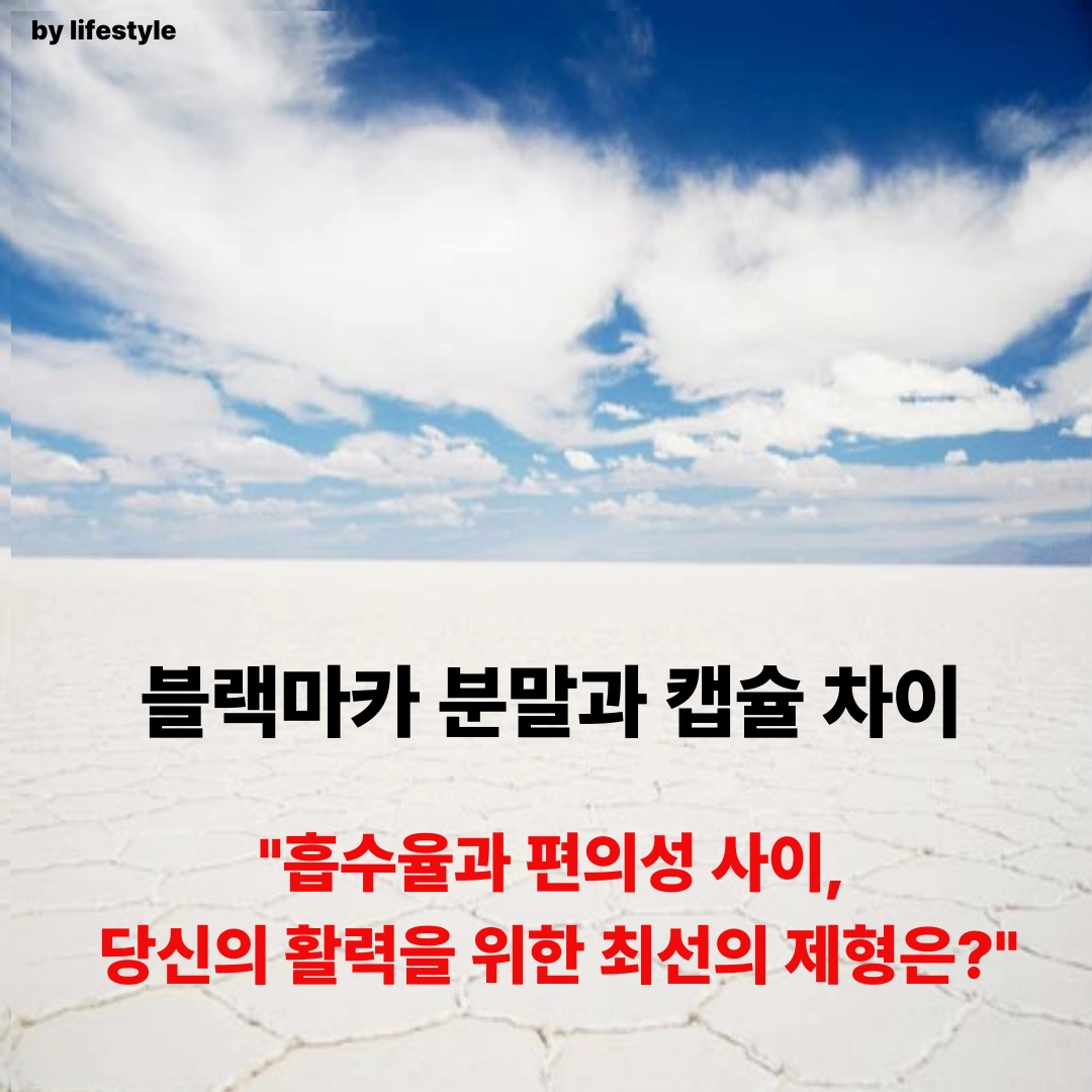 블로그 썸네일 001 4