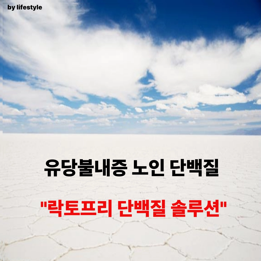 블로그 썸네일 001 5 1