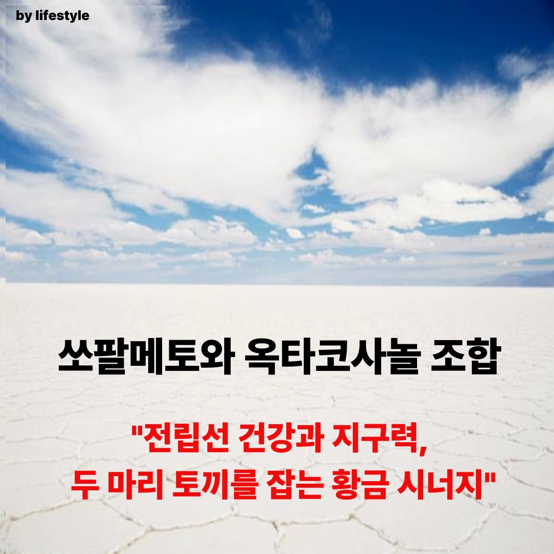 블로그 썸네일 001 5