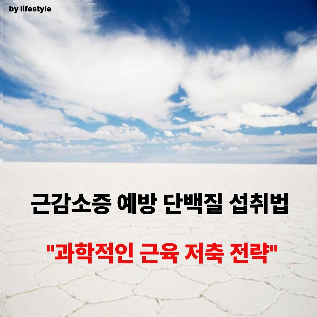 블로그 썸네일 001 6