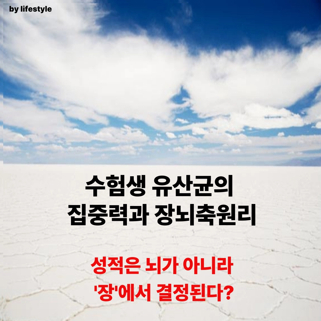 블로그 썸네일 001