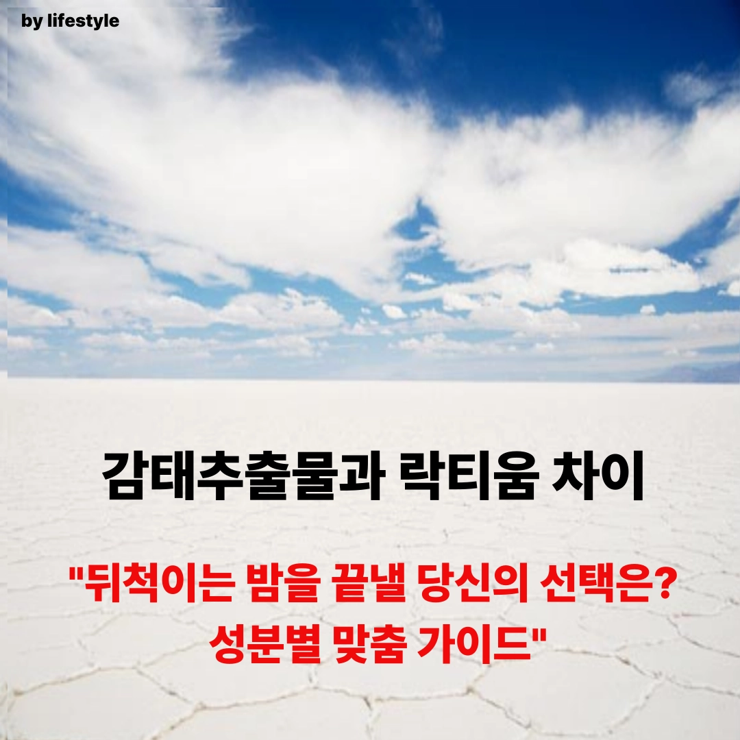 블로그 썸네일 001 1